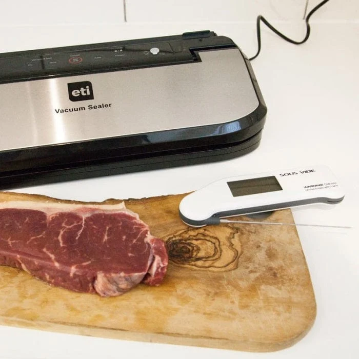 Vakuum Thermapen® med miniatyrnålsond