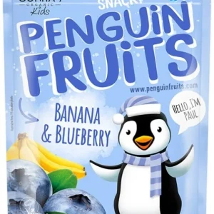 Banan och blåbär BIO frystorkade 15 g