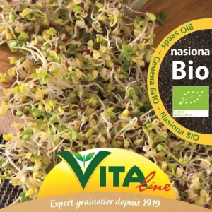Broccoli Raab BIO-frön för groddar 20 g VITA LINE