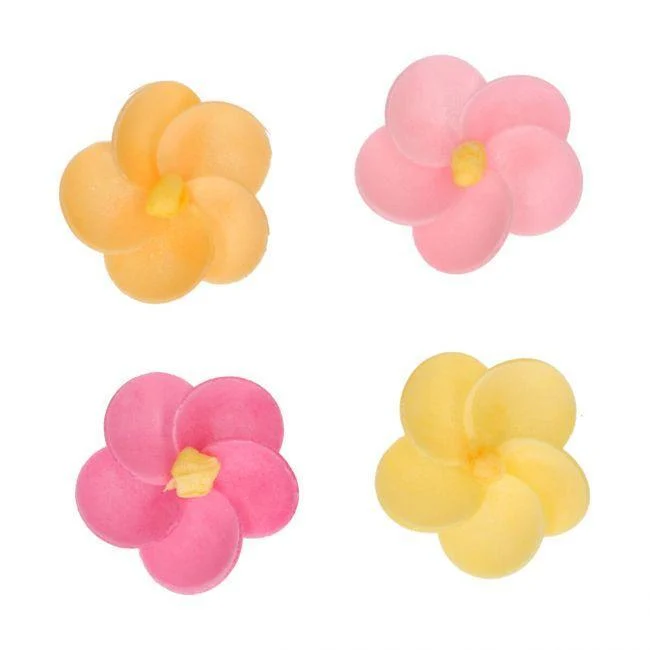 Set/12 Ätbart Pappersprimula