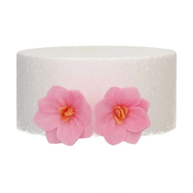 Set/18 Ätbara blommor Hortensior Rosor