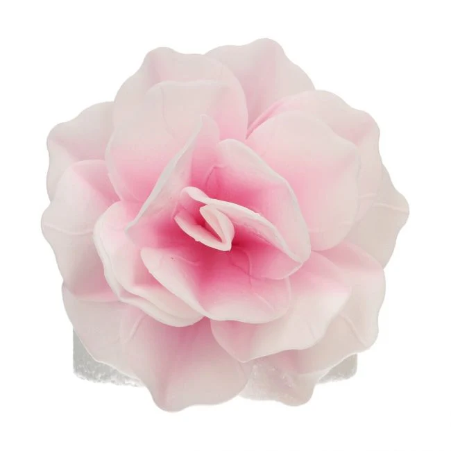 Ätbar blomma Pastella Ros Ombre