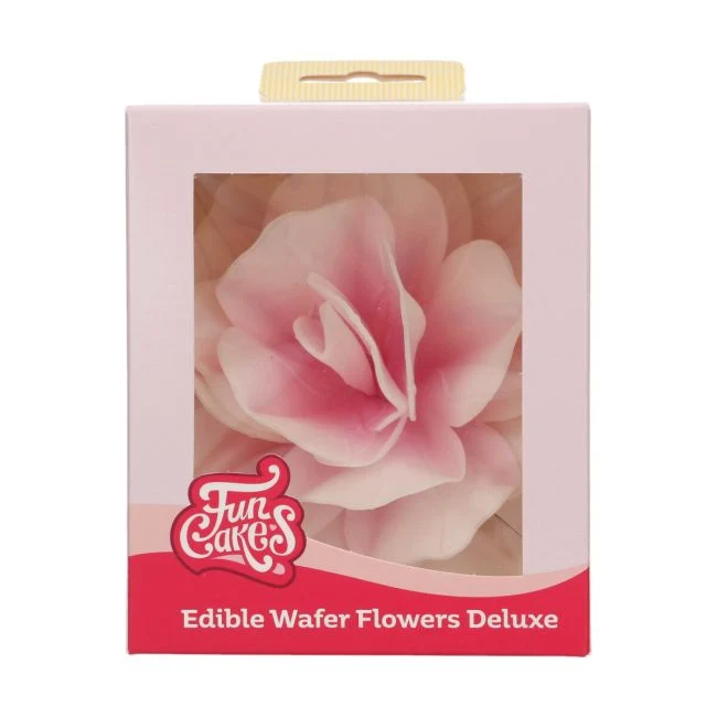 Ätbar blomma Pastella Ros Ombre