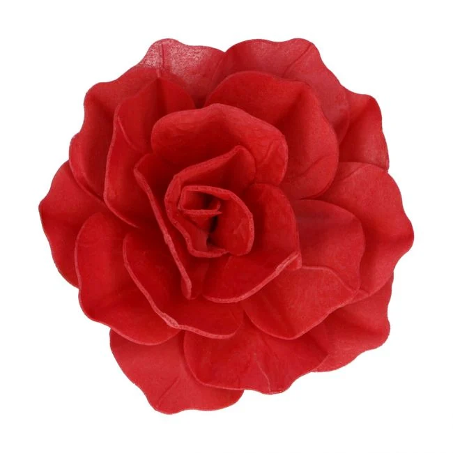 Ätbar blomma Ros Pastella Rouge