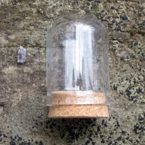 Glaskupol - Hög Cylinderformad med Kork Botten 37x22mm 1 styck