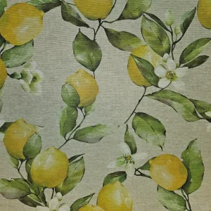 Citron CTC-duk