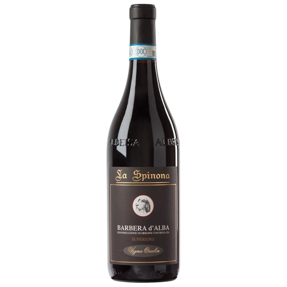 Barbera d'Alba Superiore DOC 2022