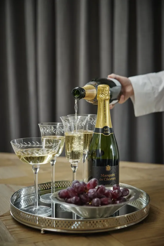 Dauphine champagneglas 18 cl. transparent