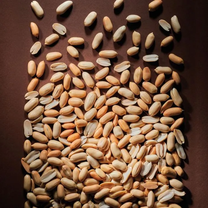 Jordnötssmör 70 % – Hink 5 kg