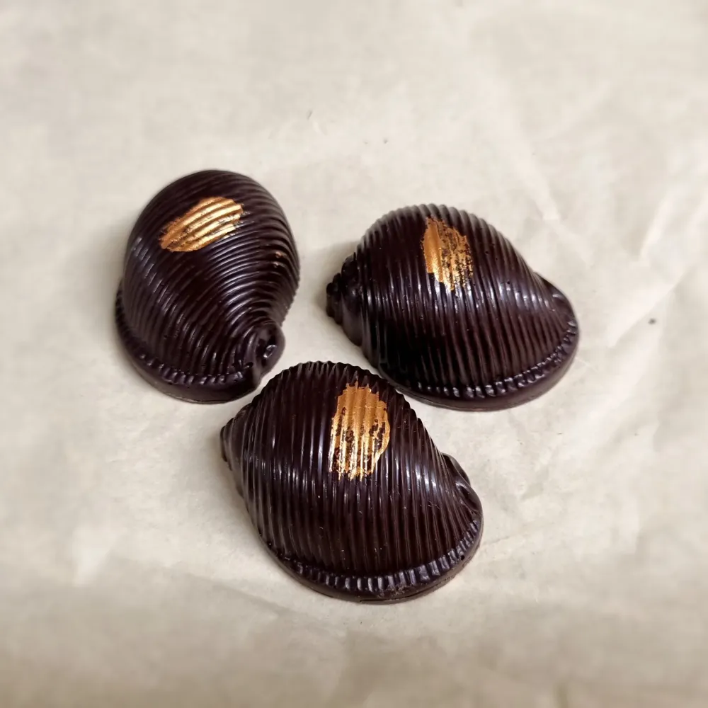 Champagne - Mörk