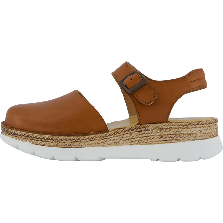 Maya Cognac Eu Ten Points