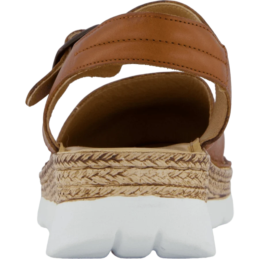 Maya Cognac Eu Ten Points