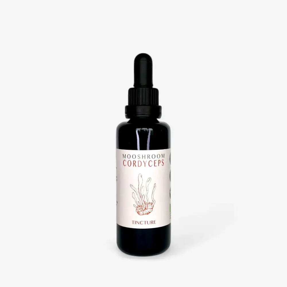 STAMINA Cordyceps tinktur