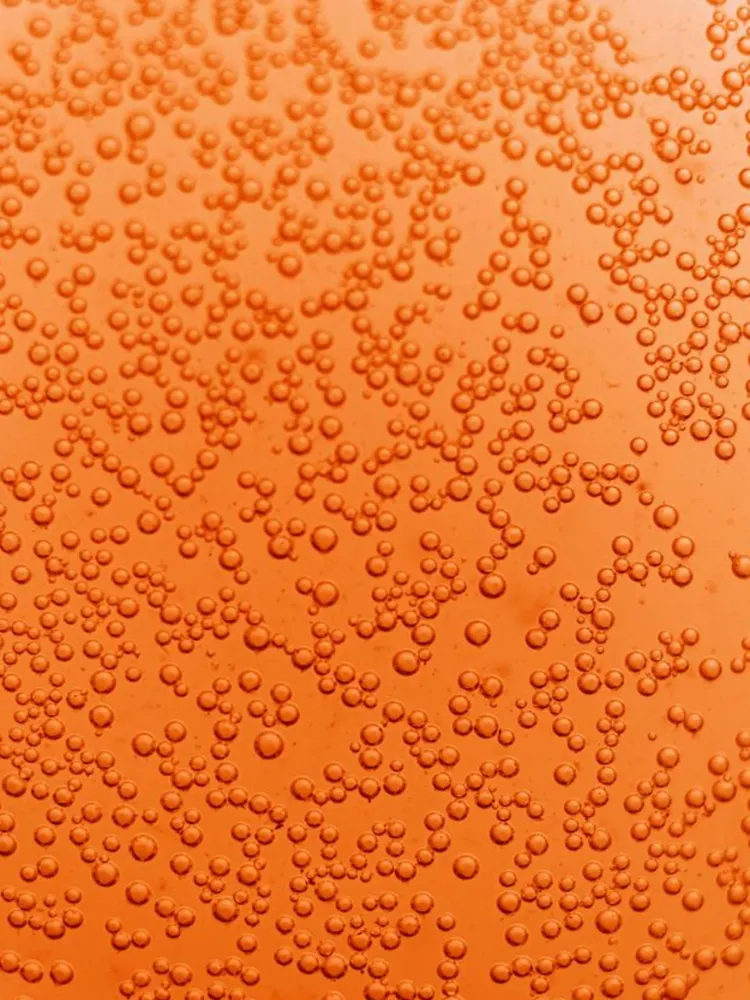 Ekologisk Kombucha Goji & Passion 400 ml x 12st