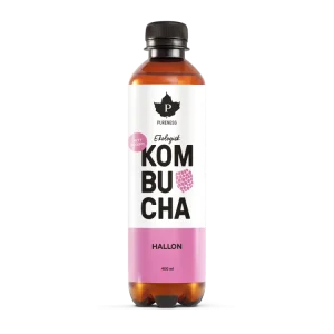 Ekologisk Kombucha Hallon - 400 ml