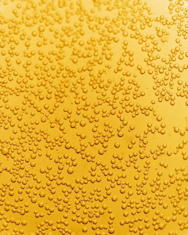 Ekologisk Kombucha Ingefära & Citron 400 ml x 12st