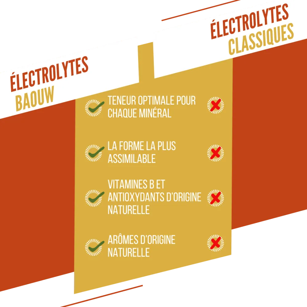 BAOUW Energidryck (Tube med 10 tabletter) Mango/Ananas