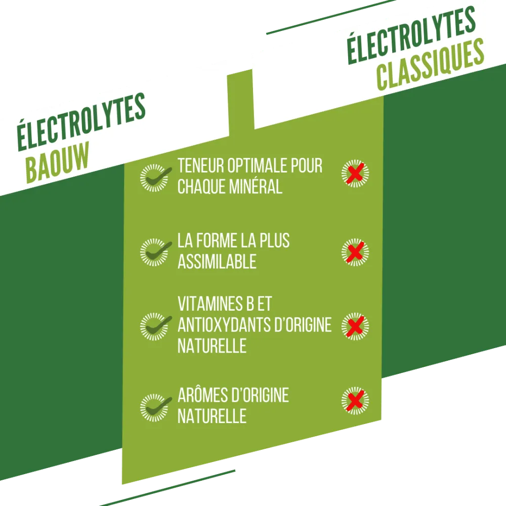 BAOUW Energy Drink (Tube med 10 tabletter) Limefrukt/Mint