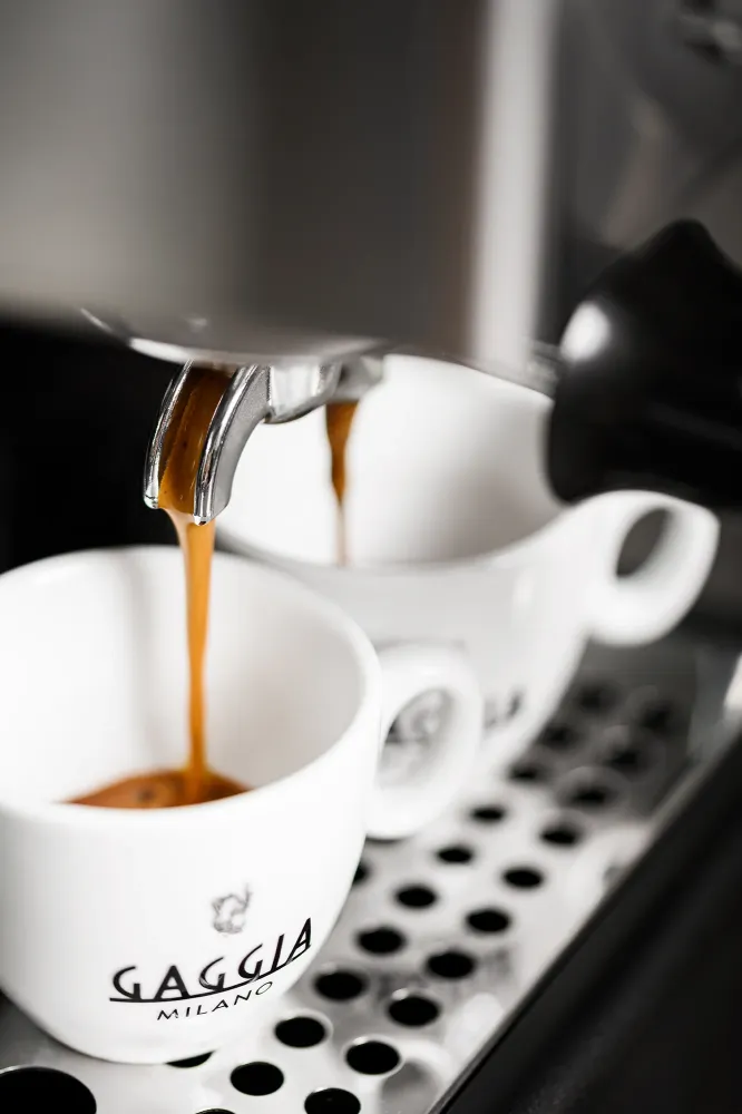 Gaggia E24111020 Enduring E24 Espressomaskin manuell Rostfritt