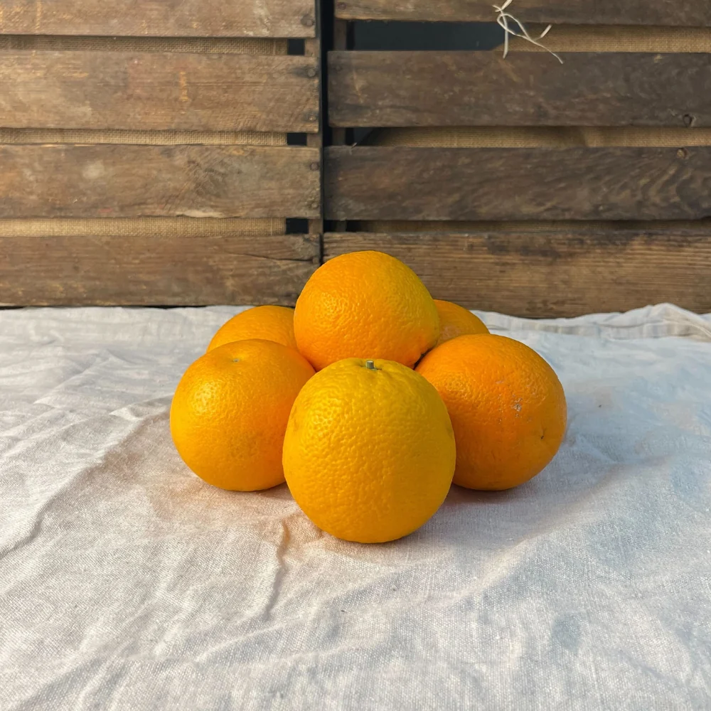 Apelsiner EKO 5-pack