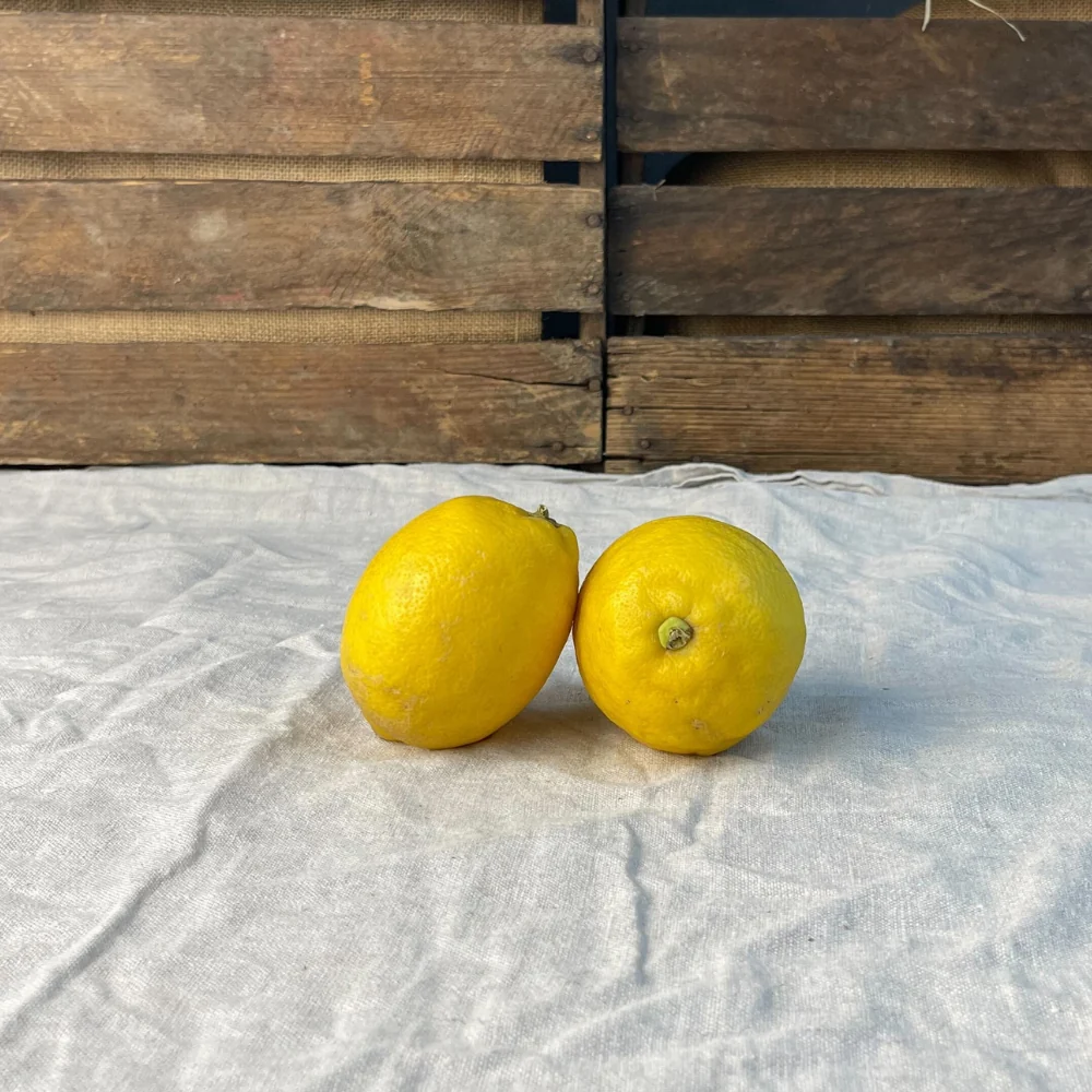 Citroner EKO 2-pack