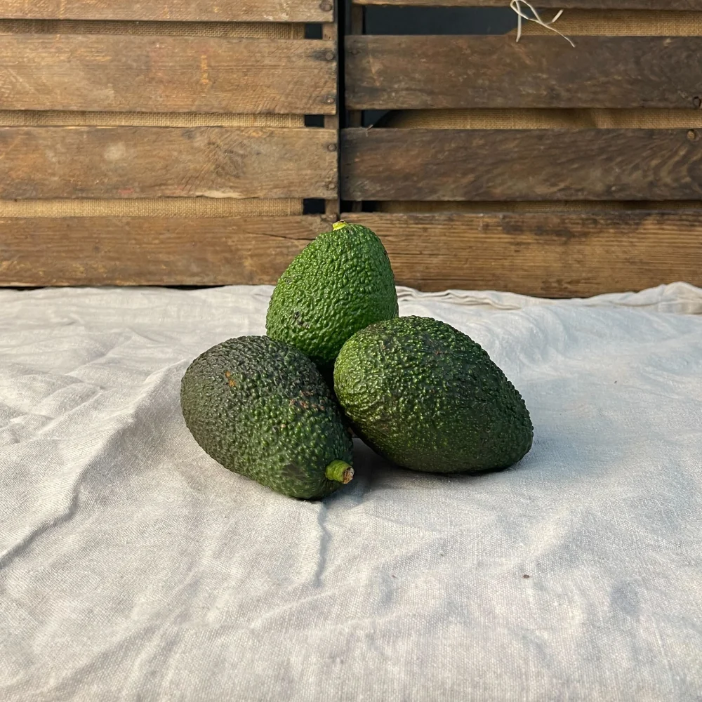 Stora avokado EKO 600g