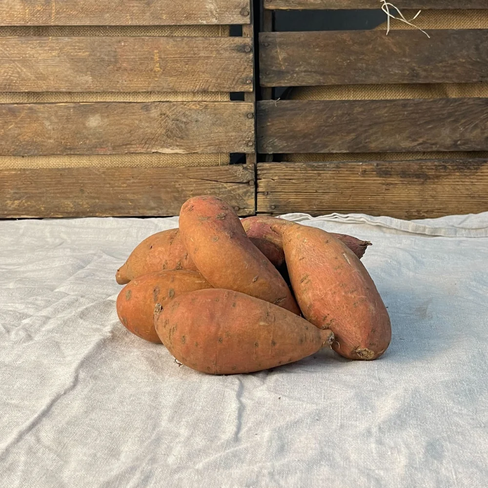 Sötpotatis EKO 1kg