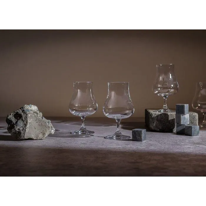 Modern House Night Event Whiskeyglas fyra-pack 22 cl Klar