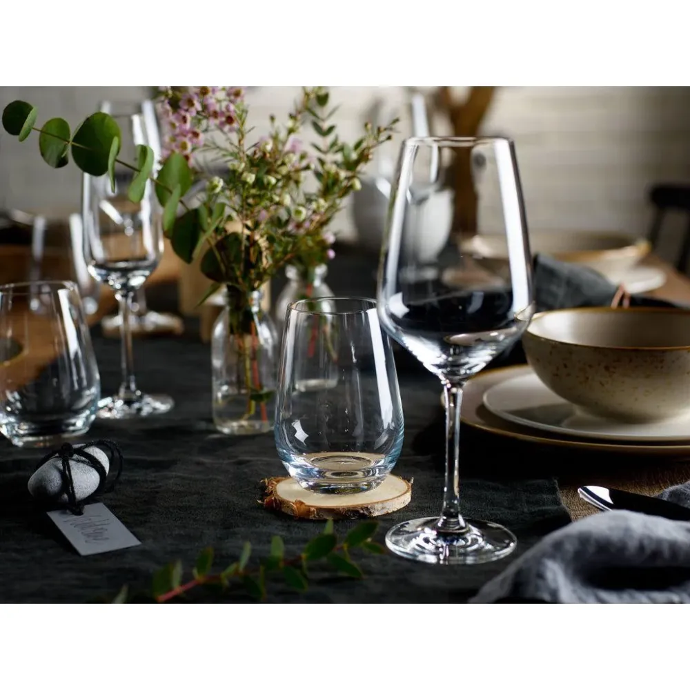 Villeroy & Boch Voice Basic Glas Rödvinsglas ordna 4st 200 ml