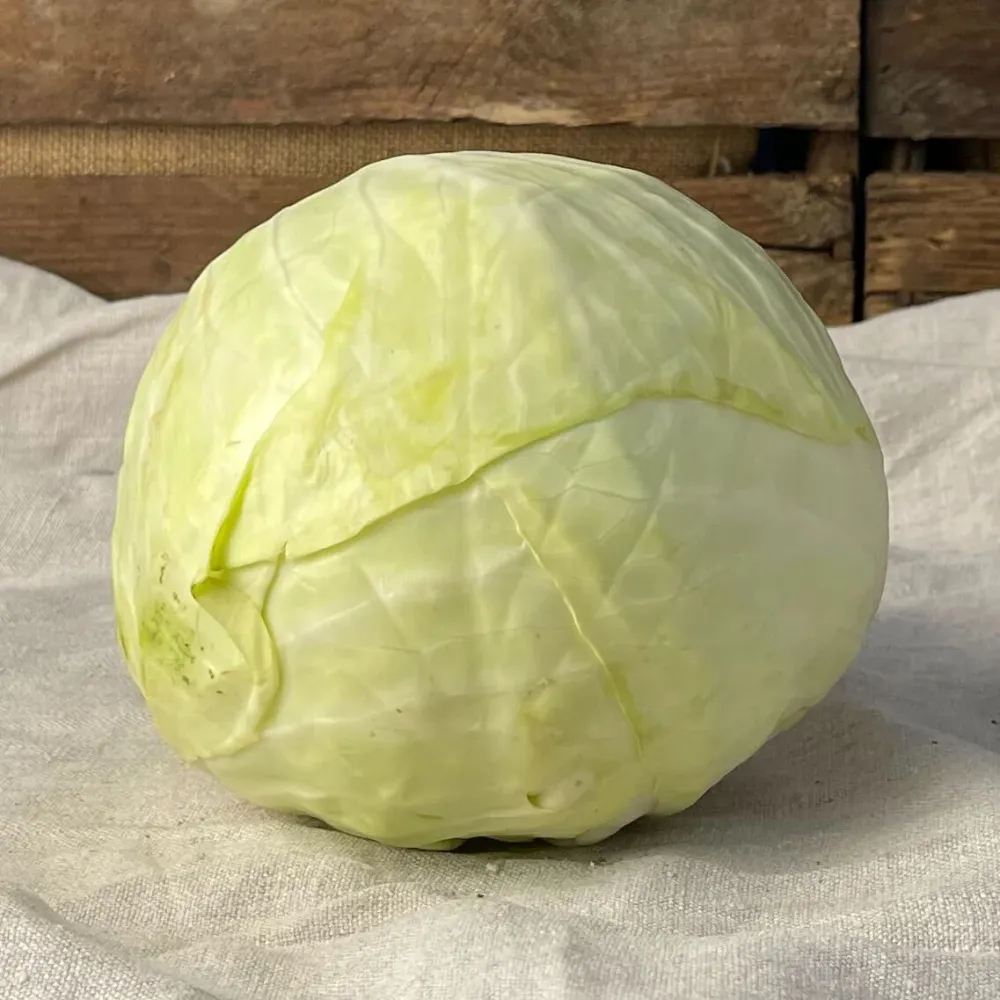 Vitkål EKO 1kg