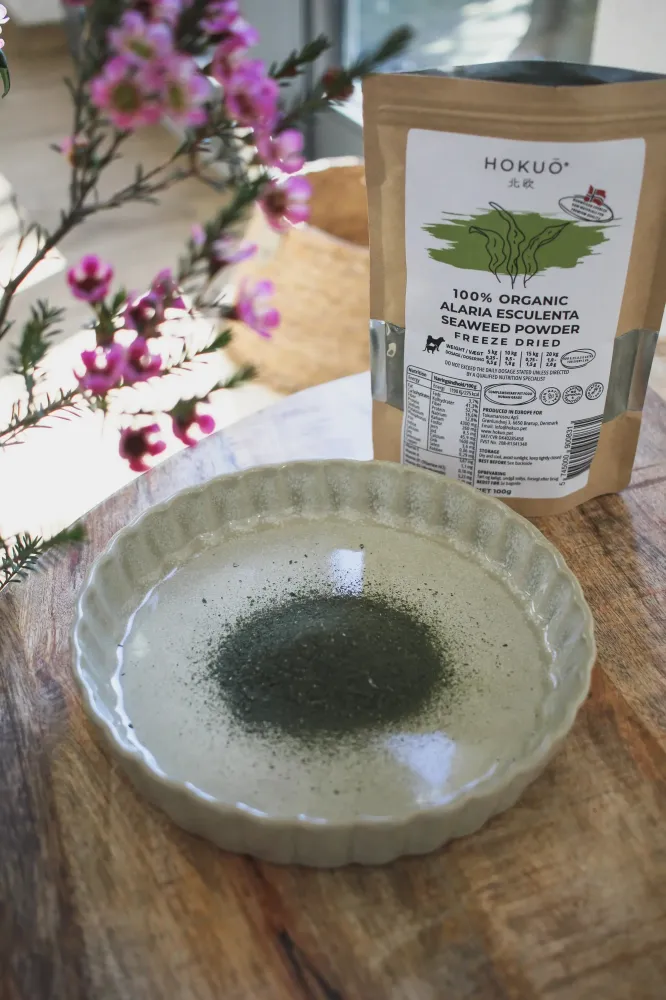 Hokuō® Ekologisk norsk frystorkad sjögräs - 100 g – Alaria Esculenta
