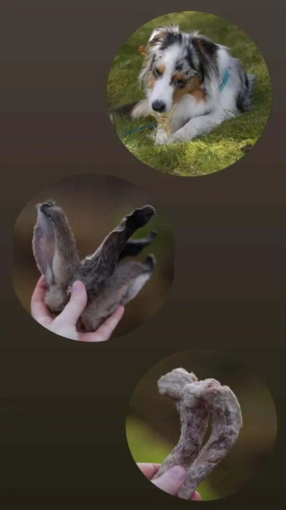 Hokuō frystorkade tugg-paket - Prova de spännande tuggarna från Hokuō!