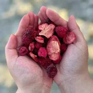 Hokuō® Mori no Berī – frystorkade bär - 50 g 🍓🌿