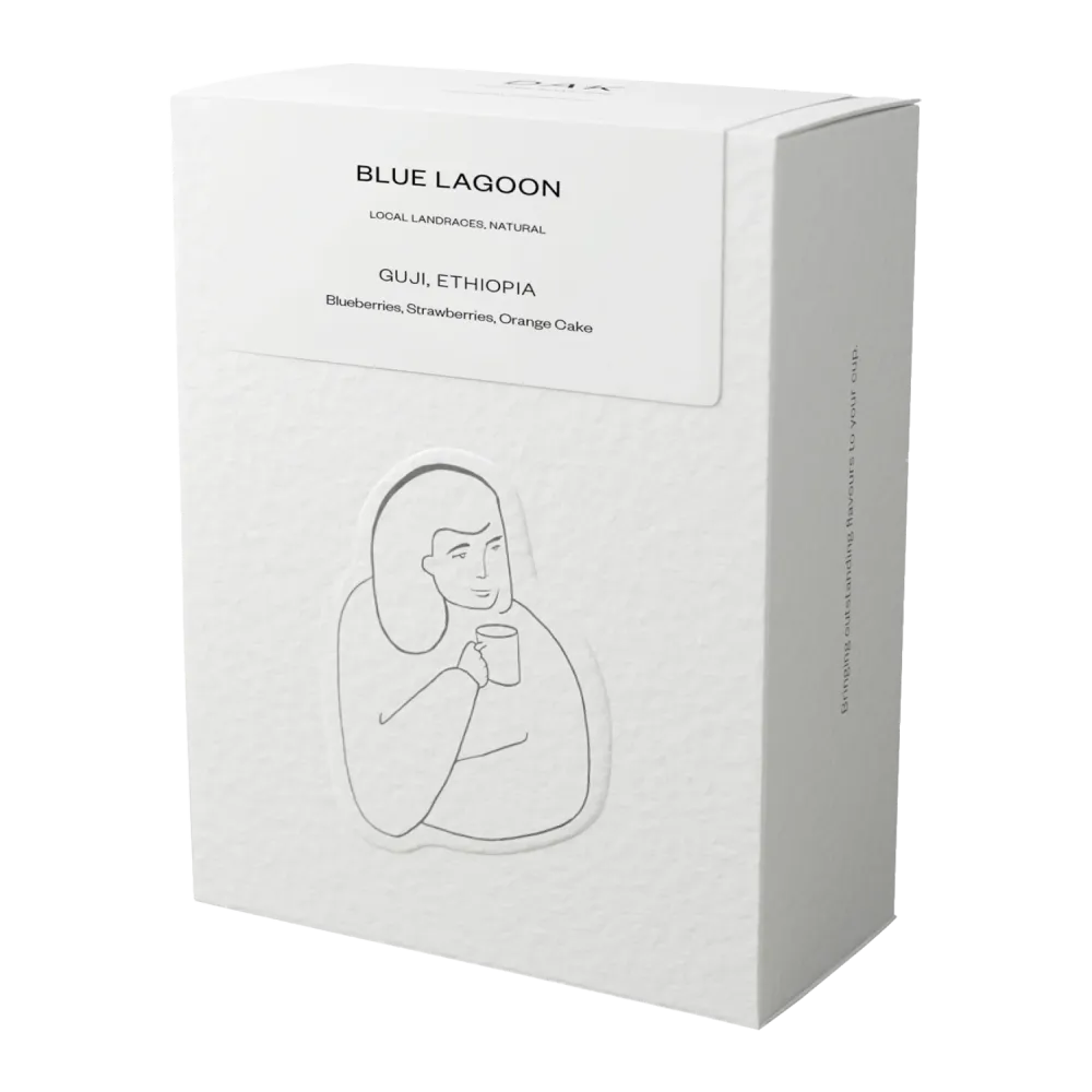 DAK Coffee Roasters - Blue Lagoon - Brygg - 250g