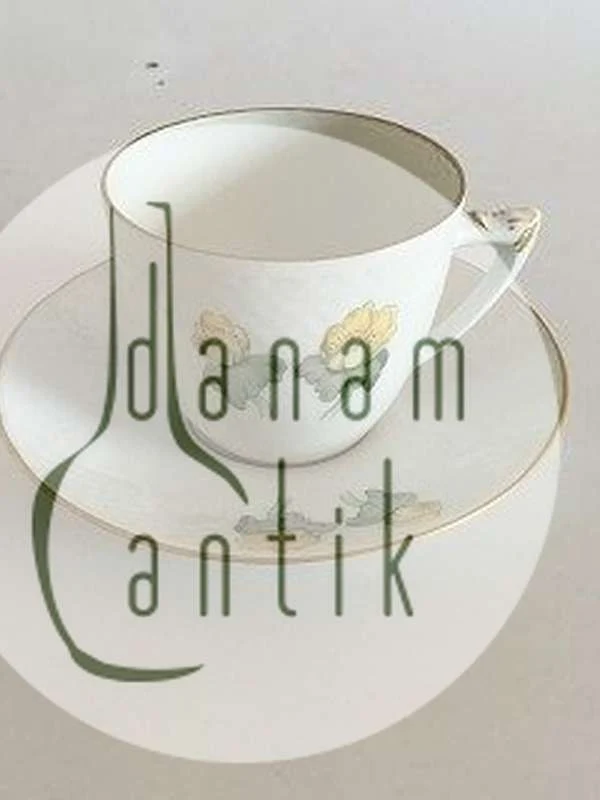 Bing og Grøndahl Erantis Kaffekop og Underkop No. 305