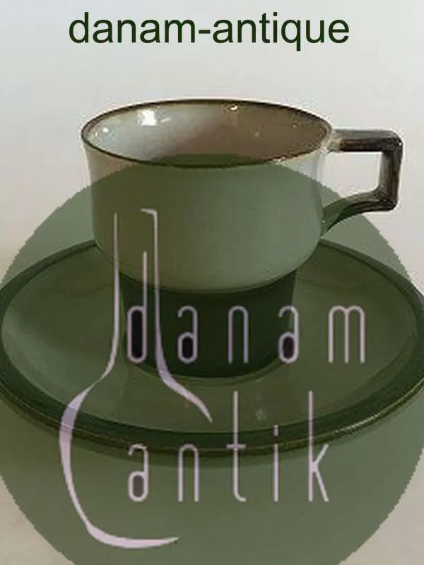 Bing og Grøndahl Stentøj Tema Kaffekop og Underkop No 305