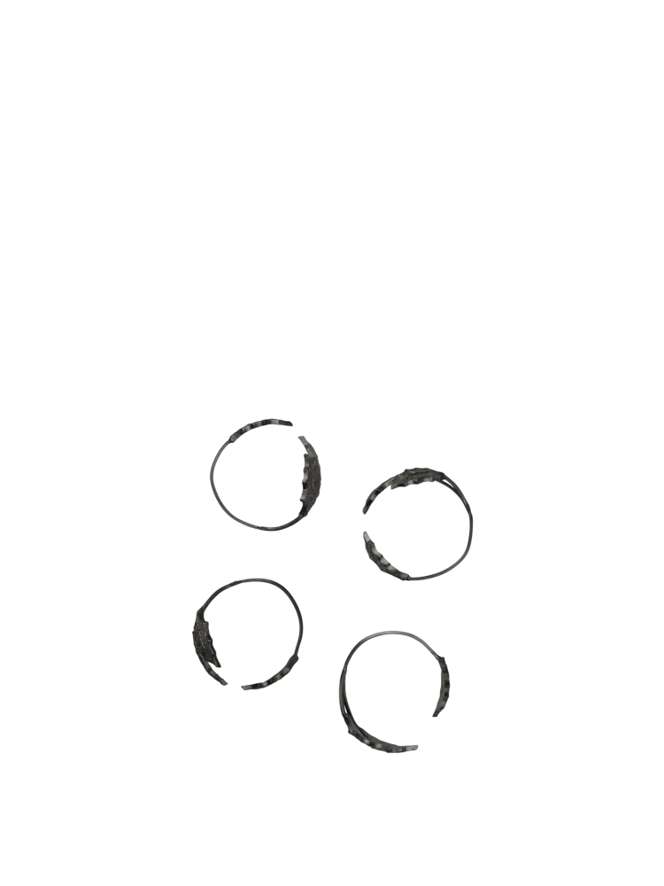 Holly Leaf Napkin Rings - Set 4 - Black Brass Ferm Living - SE