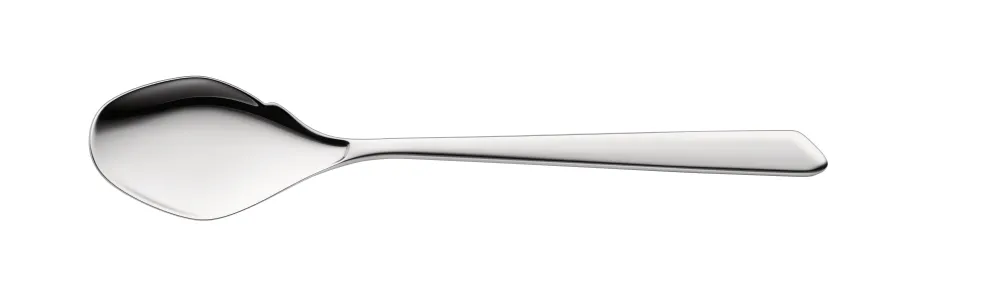 Gourmet spoon SHADES 195mm