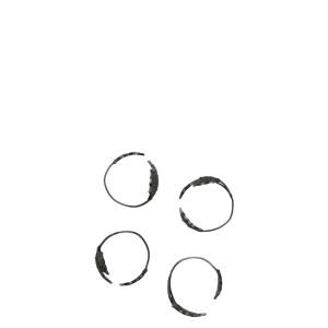 Holly Leaf Napkin Rings - Set 4 - Black Brass