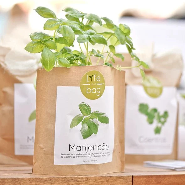 VÄXA PÅ OREGANO LIFE IN A BAG