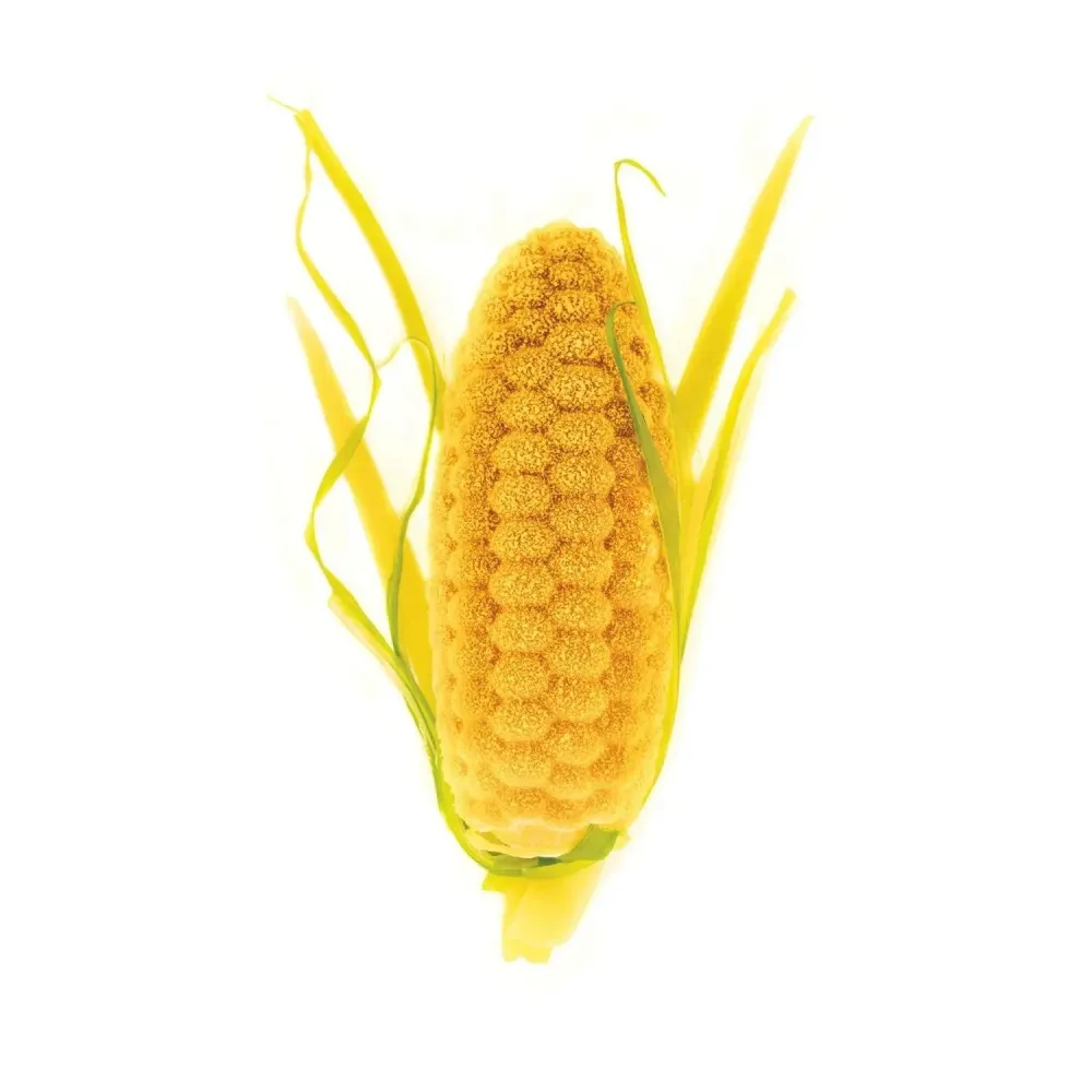 Majsform