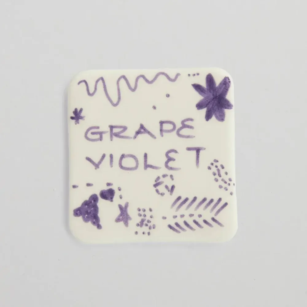 Marker Alimentaire Druva Violet