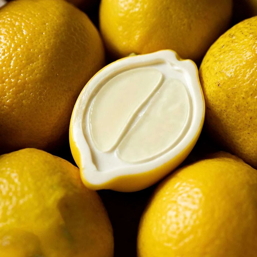 Moule GG070S Halv Citron av Davide Oldani