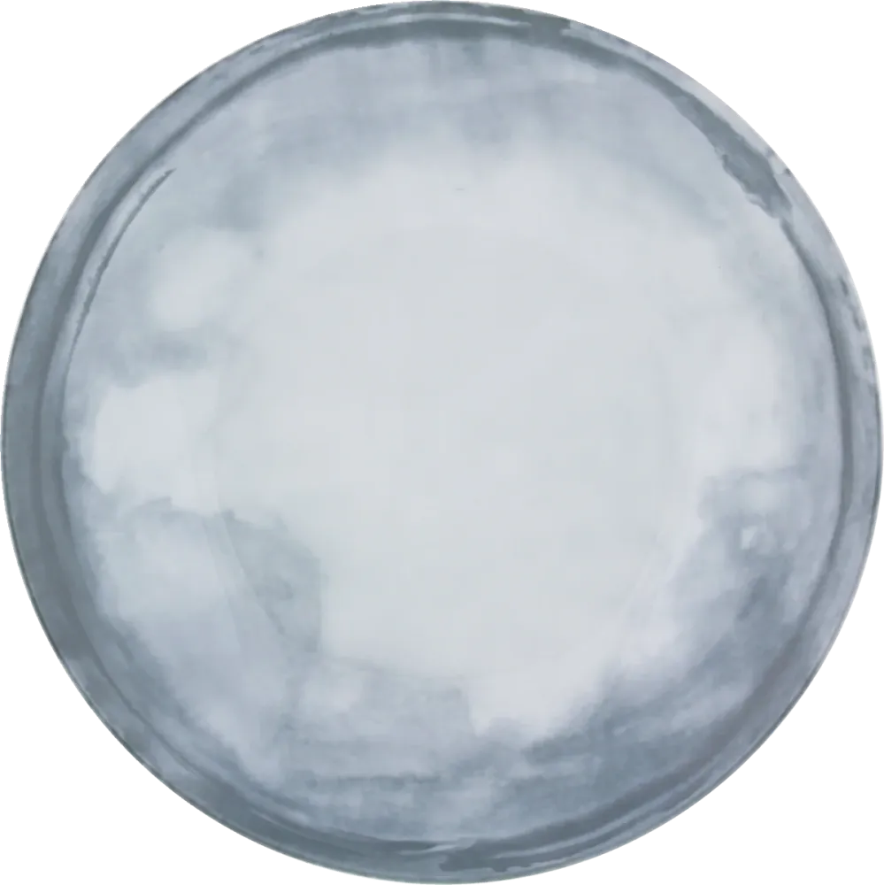 Plate deep round coupe 28cm COAST