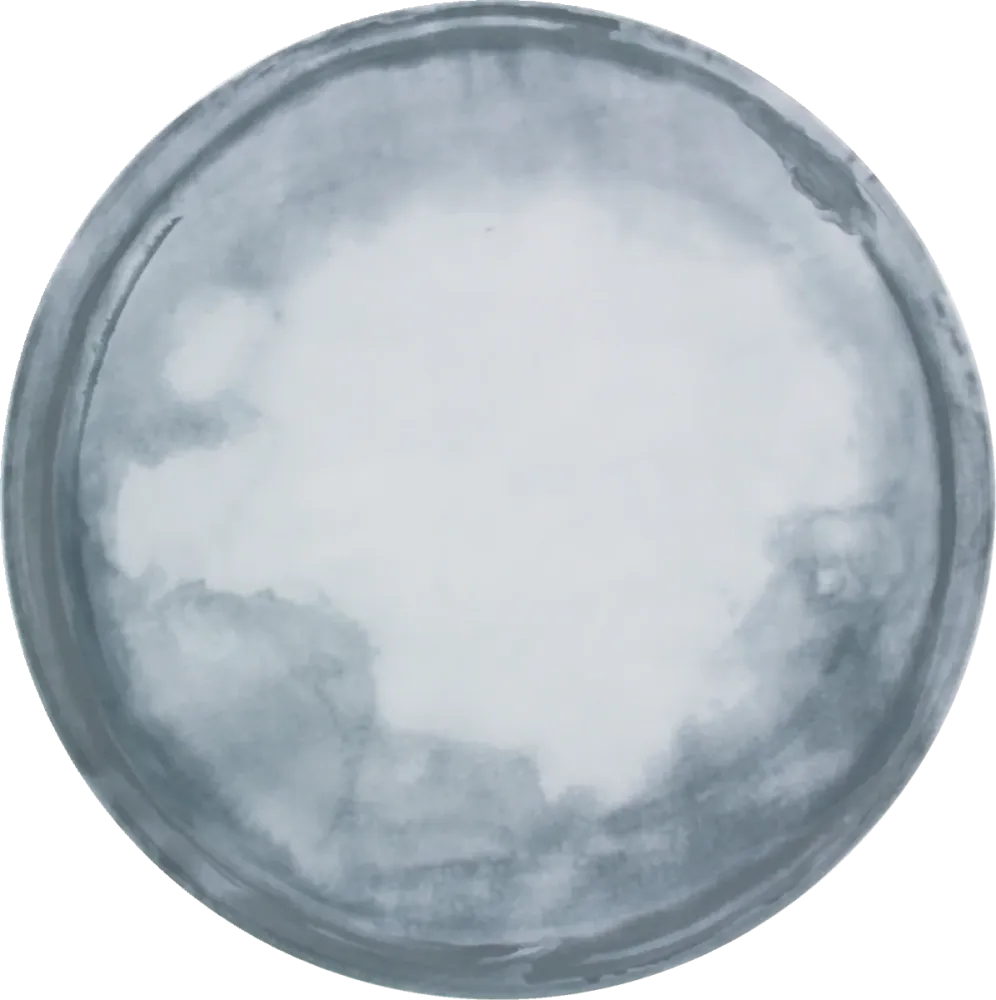 Plate flat round coupe 17cm COAST