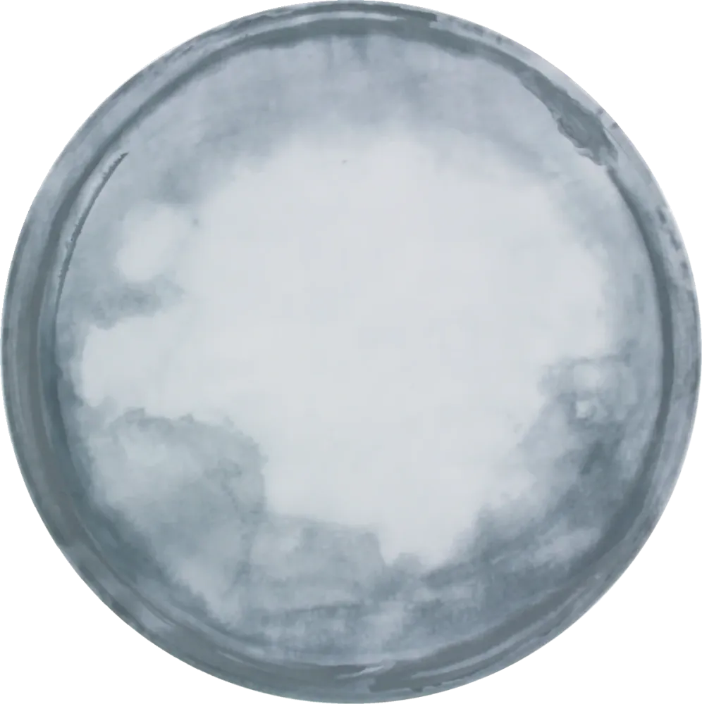 Plate flat round coupe 20cm COAST