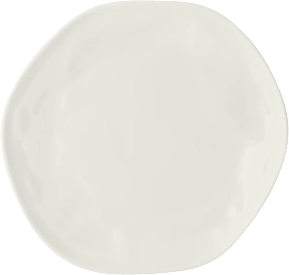 Plate flat round coupe 21cm