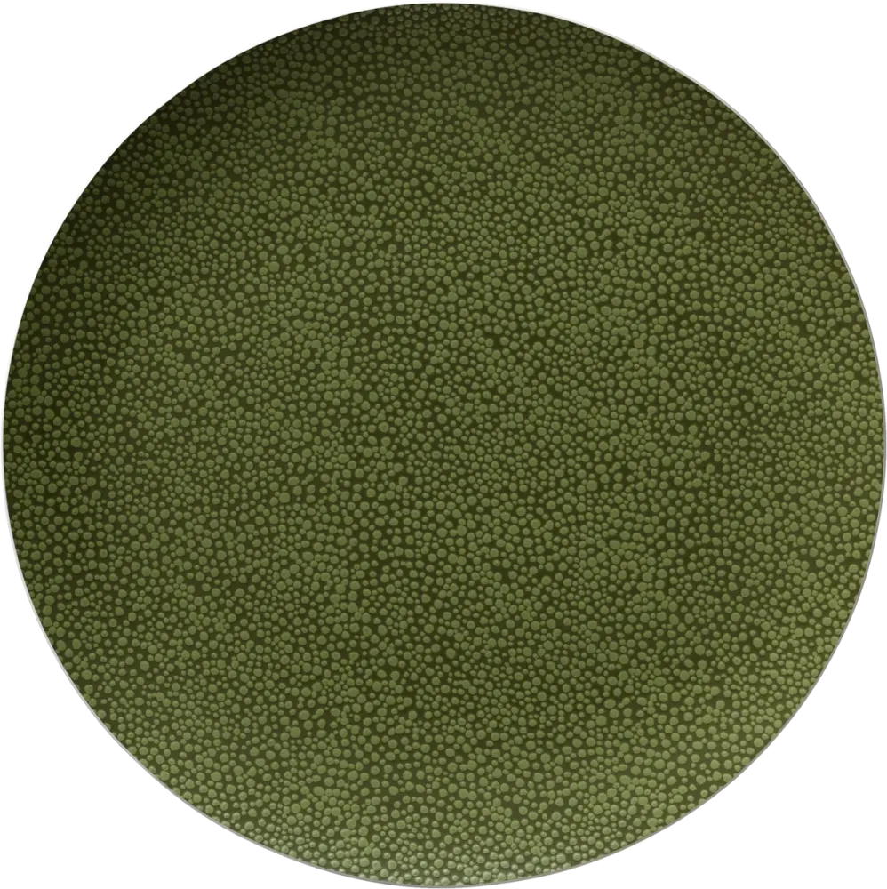 Plate flat round coupe 21cm