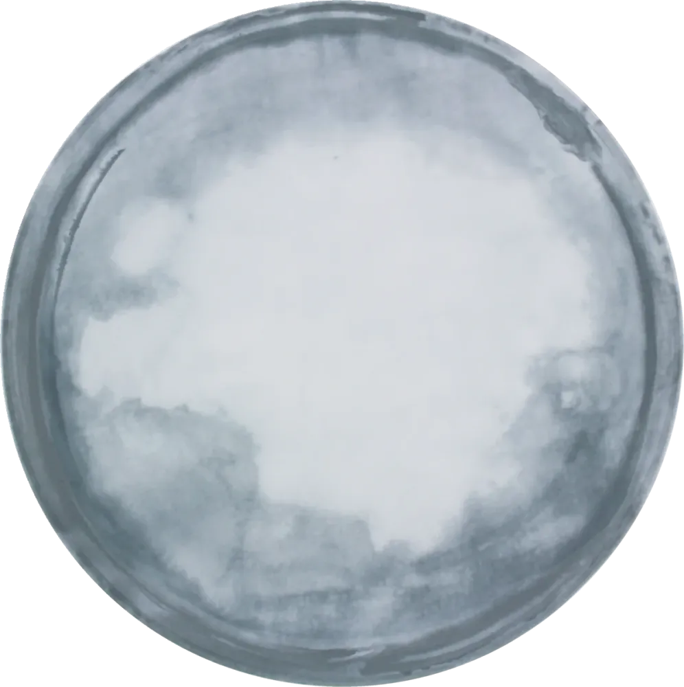 Plate flat round coupe 26cm COAST
