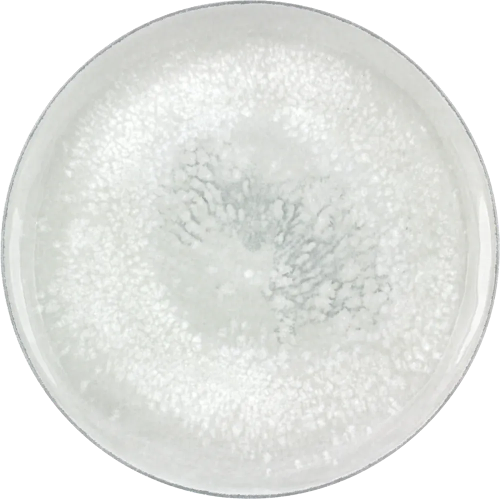 Plate flat round coupe 26cm SALT